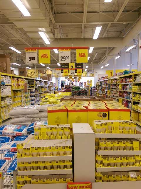 Dave's No Frills