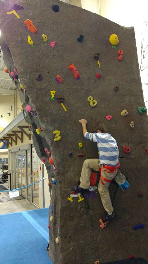 Dawson Creek Climbing Wall